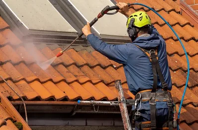 Démoussage et hydrofuge de toiture à Olmo